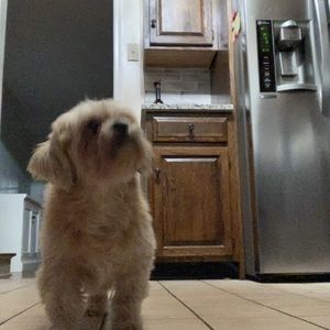 Meet your Posher, Con_mythic